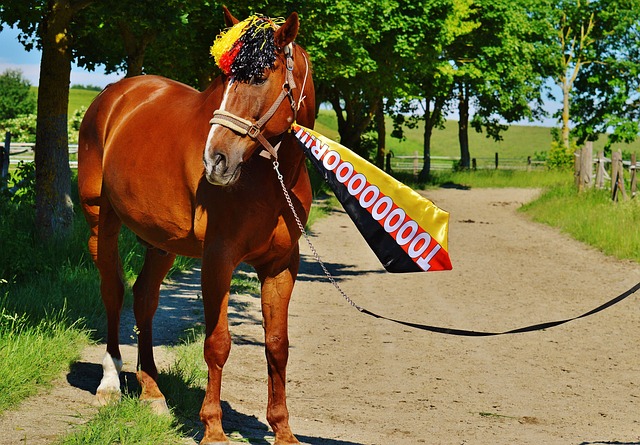 的精彩剧本 的精彩剧本