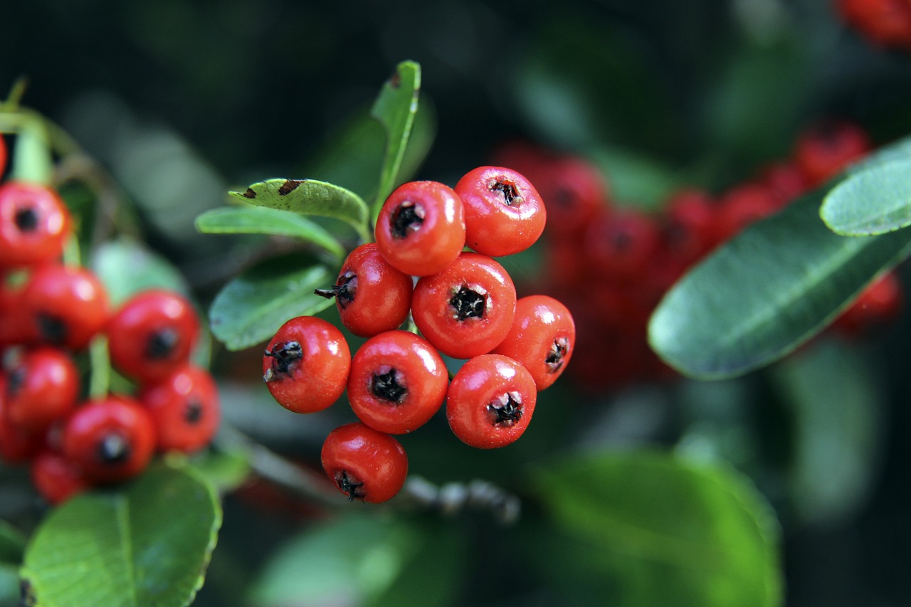 詹姆斯与F 詹姆斯与F