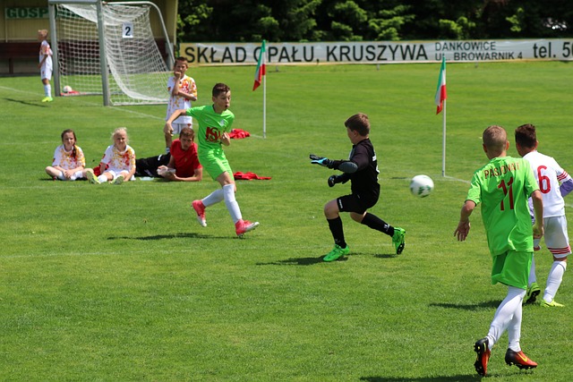 许多国家都 许多国家都