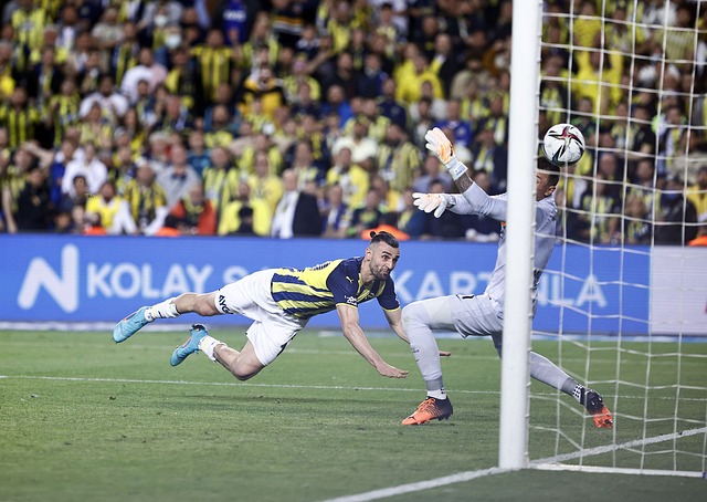 他们的速度 他们的速度