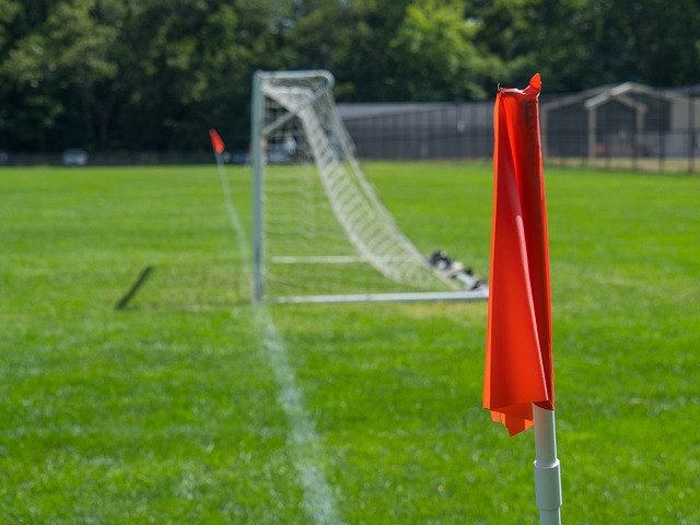 小学的队员 小学的队员