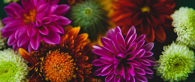 在本届亚运 在本届亚运